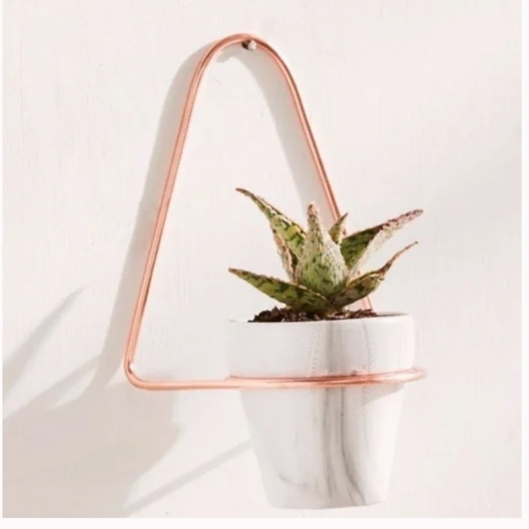 ❤️ FREE Aster Boho Wall Peasant Art Deco Farm Hip Plant Holder Container Hanger - Picture 1 of 2